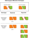 Fig. 7: