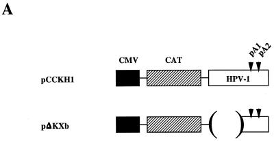 FIG. 7