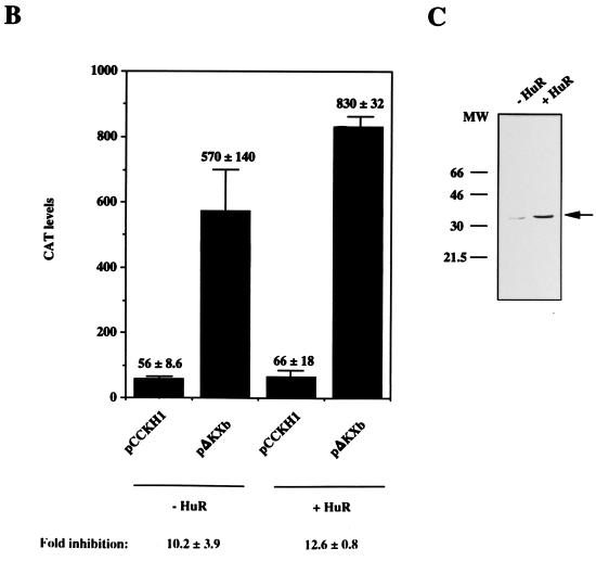 FIG. 7
