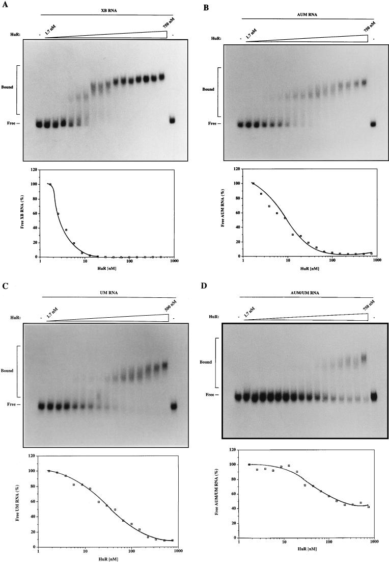 FIG. 6