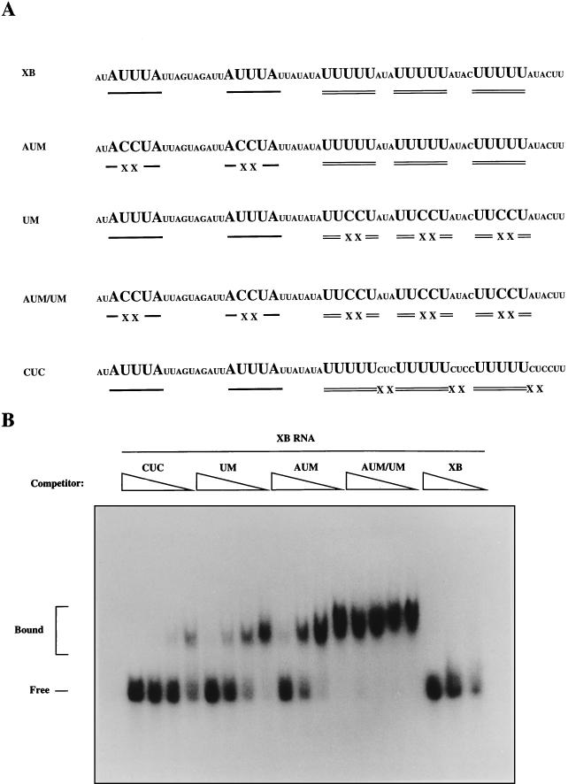 FIG. 5