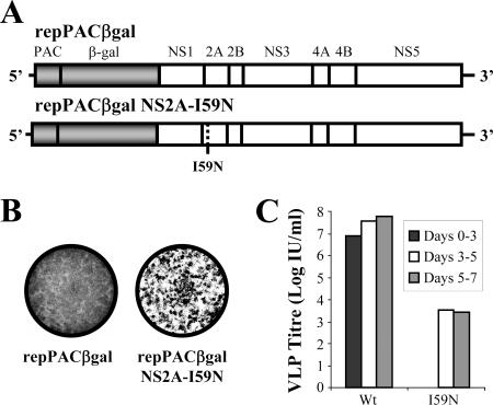 FIG. 1.