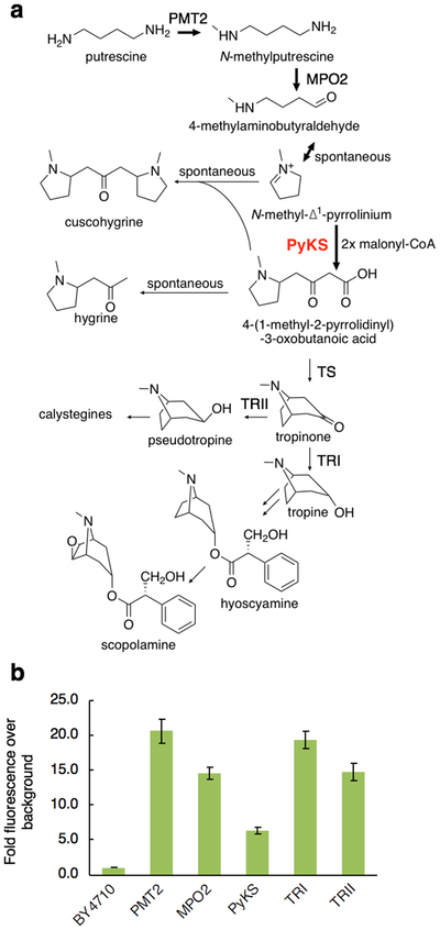 Figure 1.