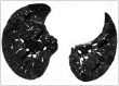 Fig. 11