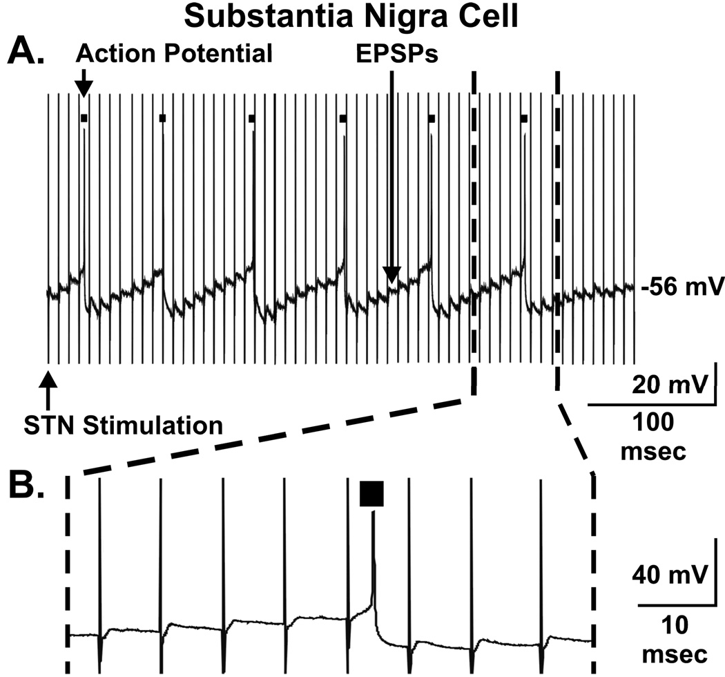 FIGURE 3