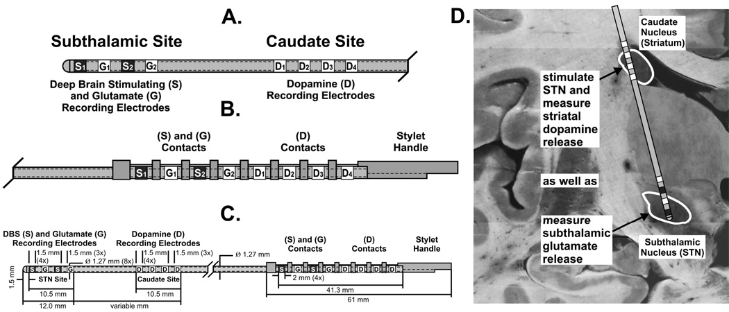 FIGURE 11