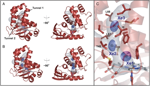 Fig. 2.