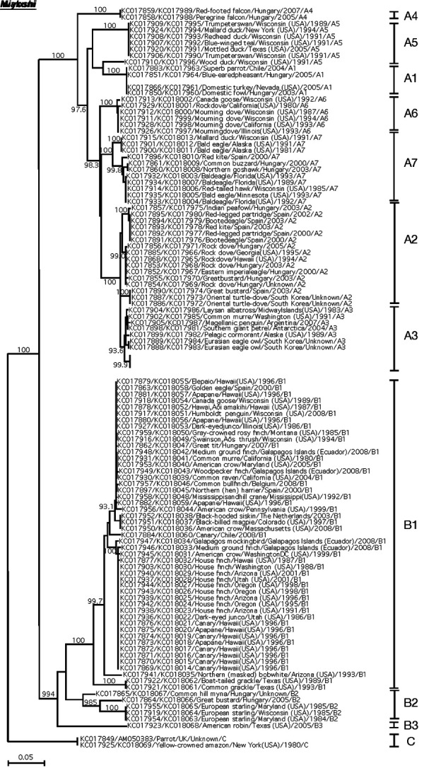 Fig. 3.