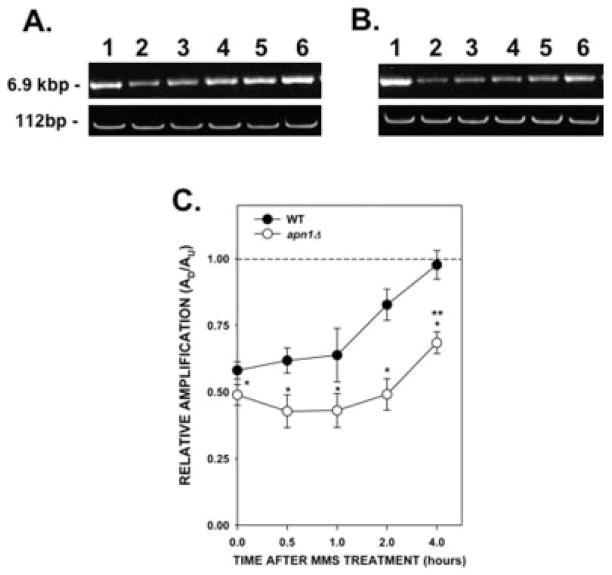 Fig. 4