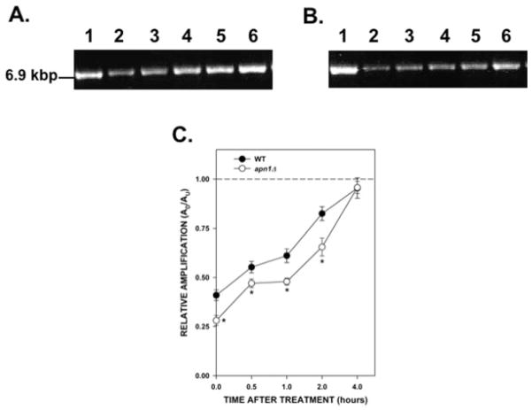 Fig. 6