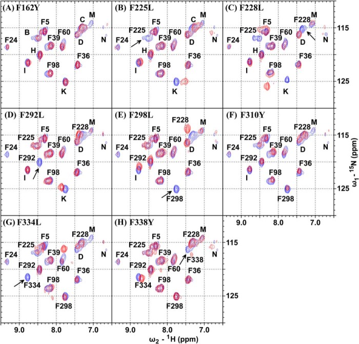 FIGURE 5.