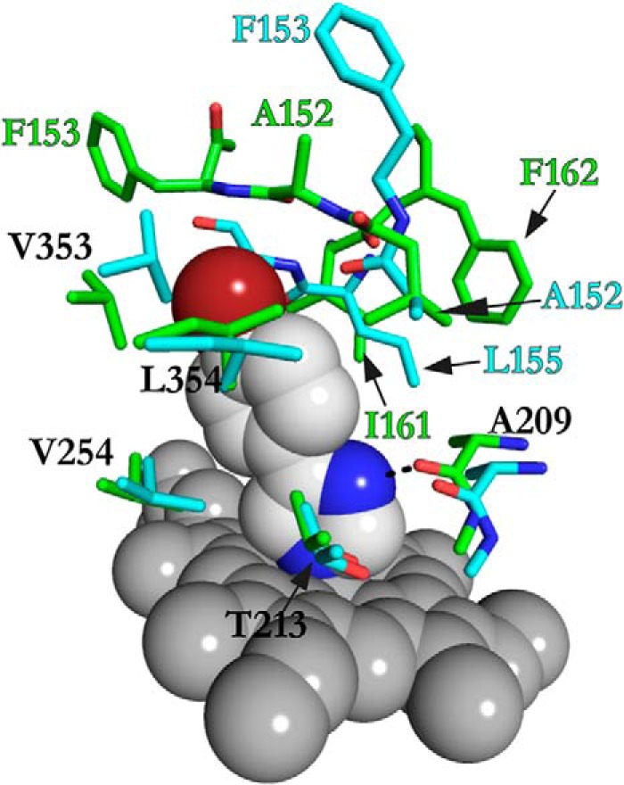 FIGURE 13.