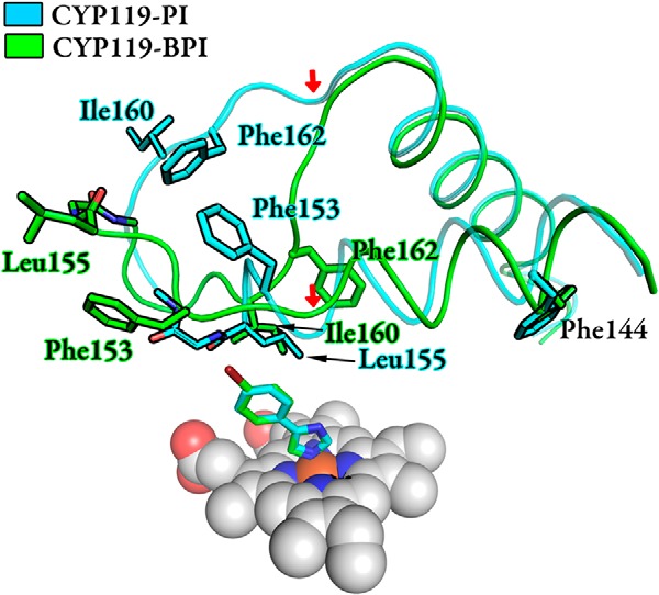 FIGURE 12.