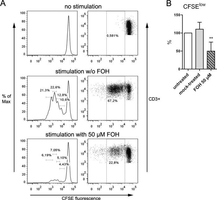 FIG 6 