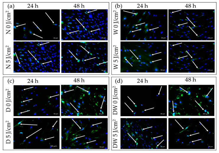 Figure 10