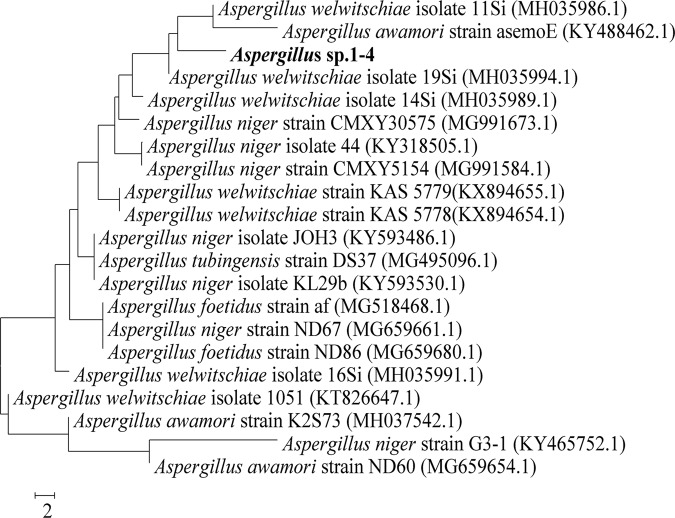 Figure 2