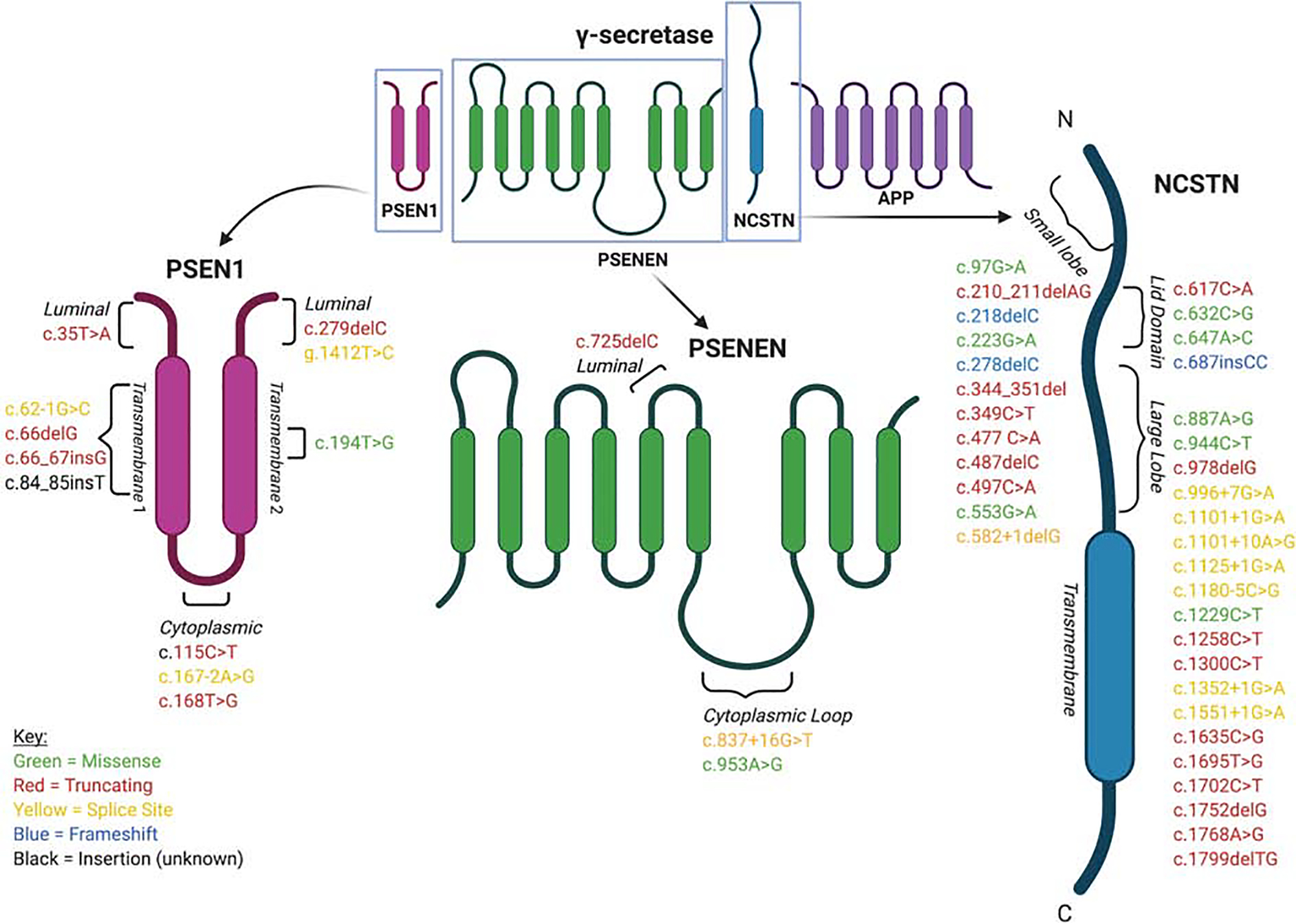 Figure 1,