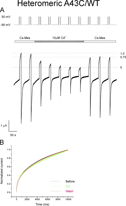 Figure 7.