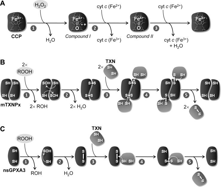 FIG. 6.