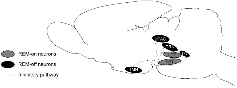 Fig. (1)