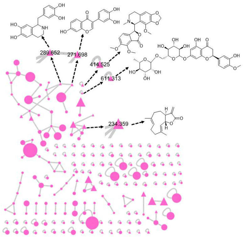 Figure 11