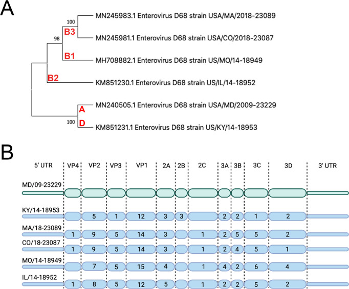 Figure 1.