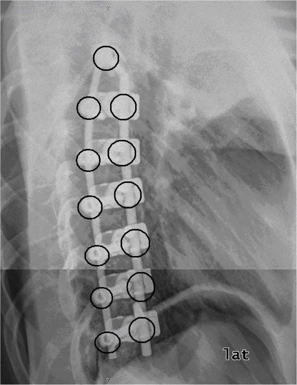 Figure 2 