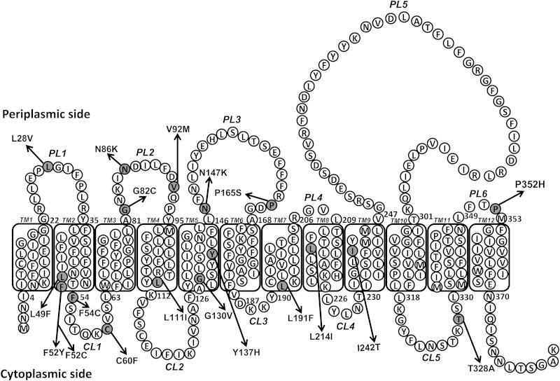 FIG 2