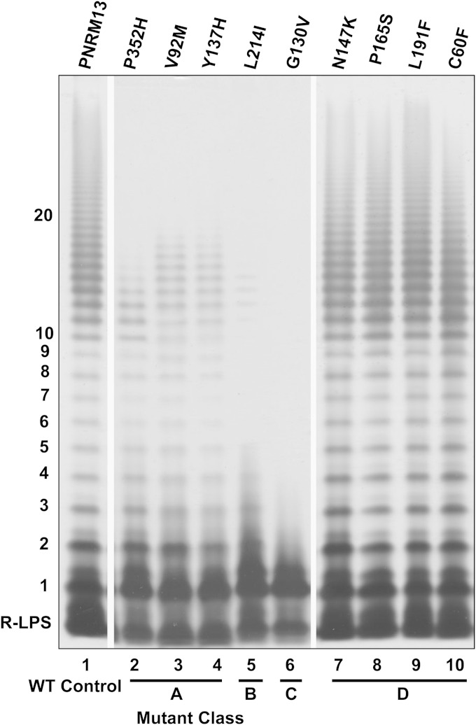 FIG 3