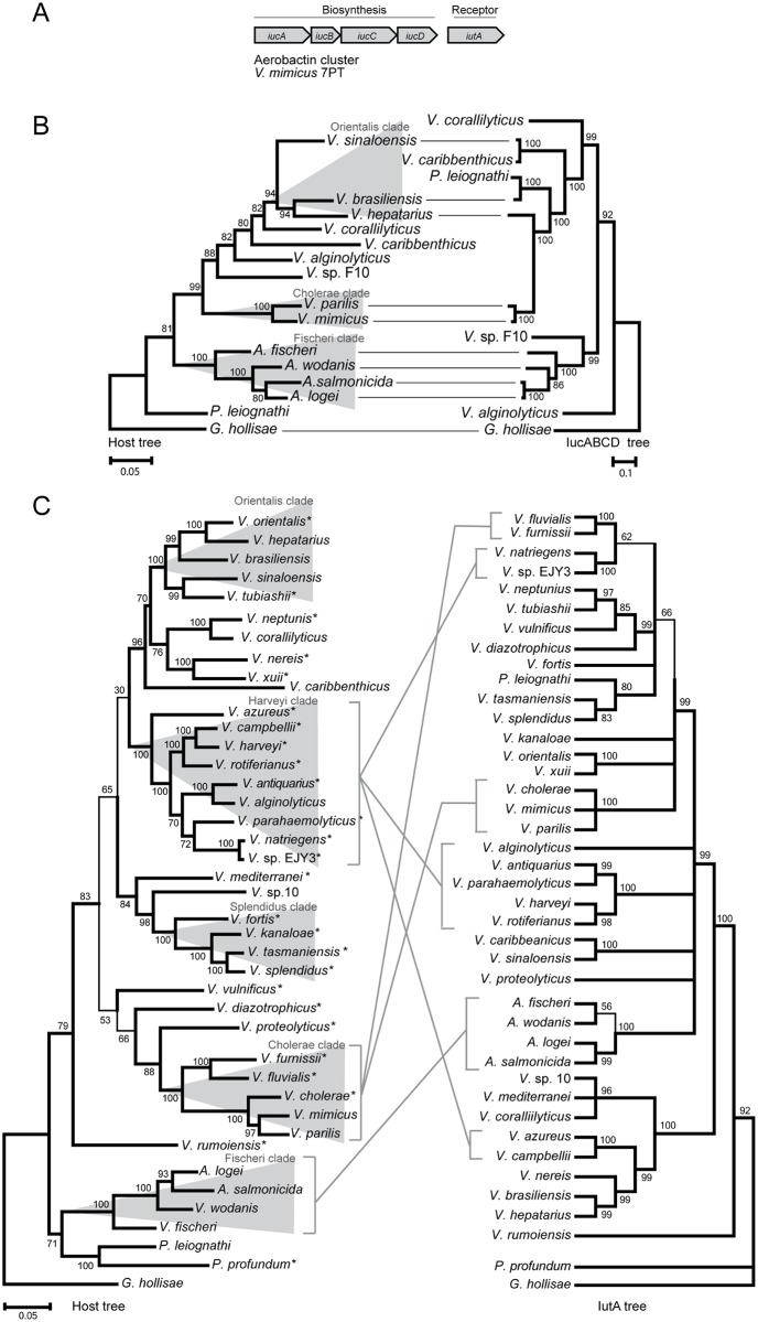 Fig 5