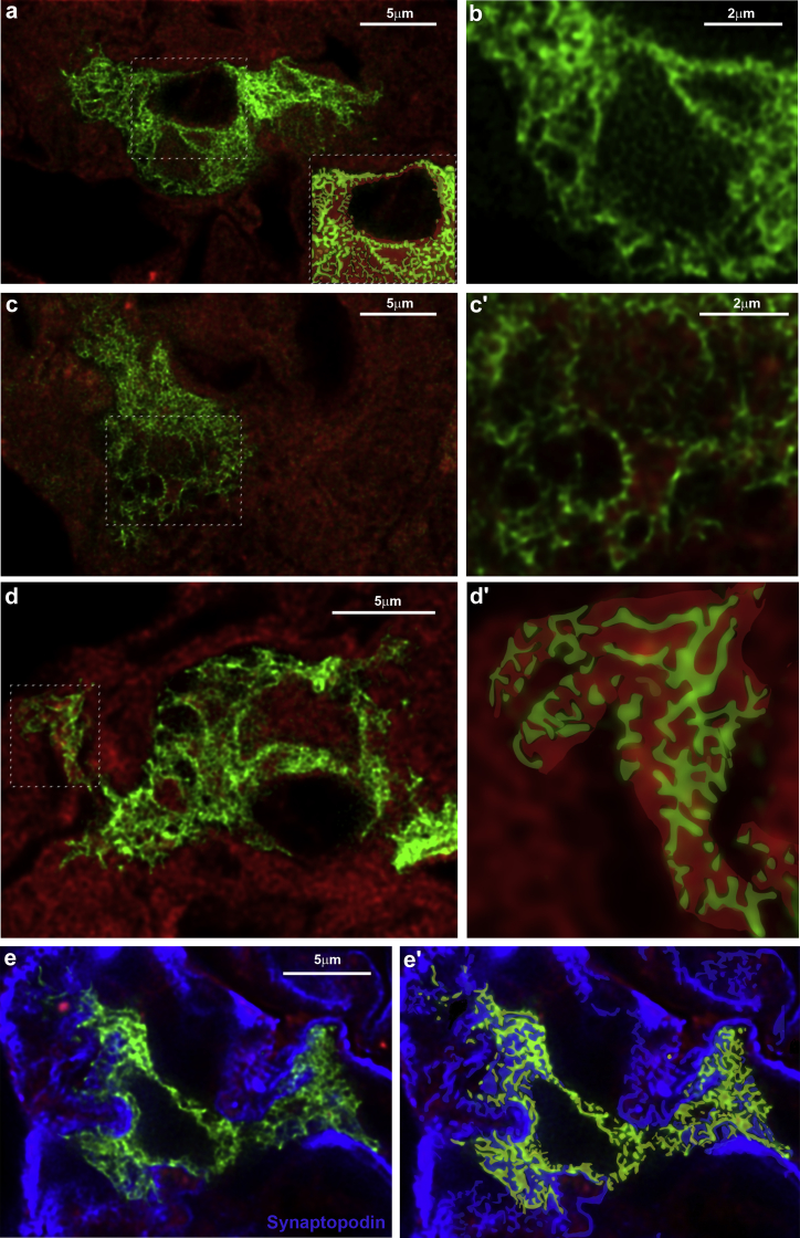 Figure 3