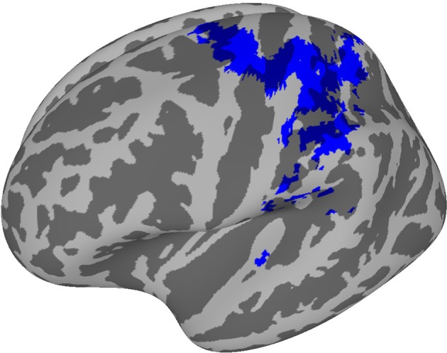 Figure 4—figure supplement 2.