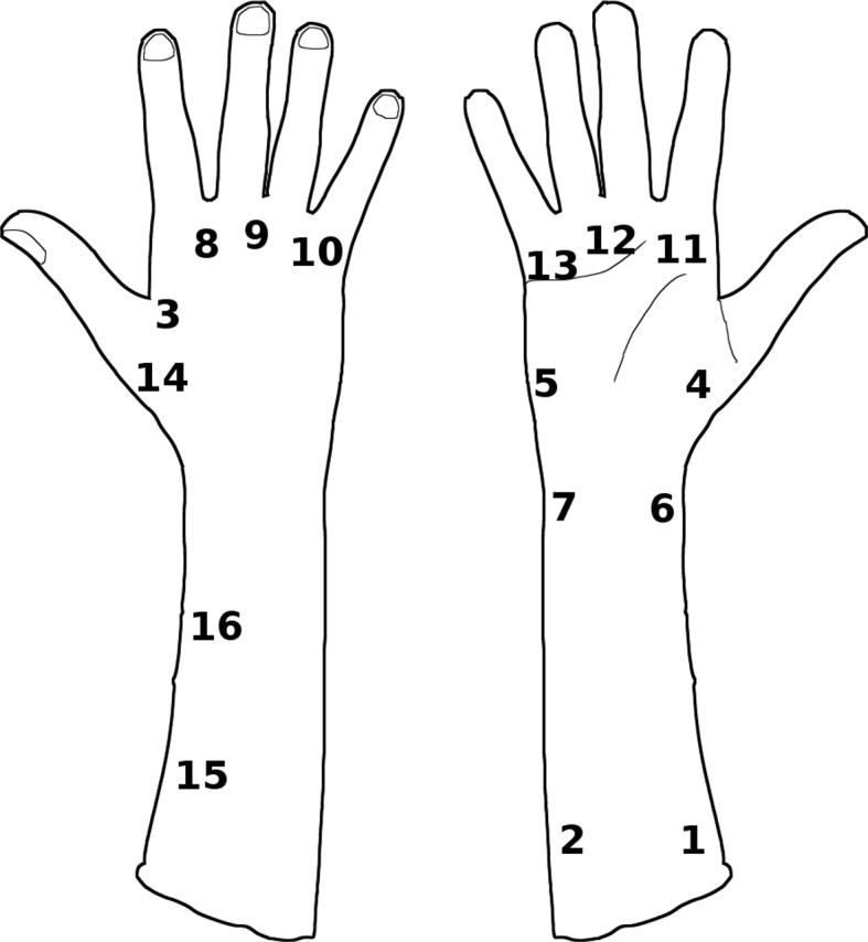 Appendix figure 1.