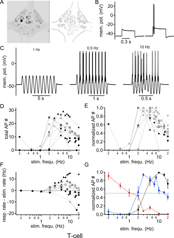 Fig. 3.