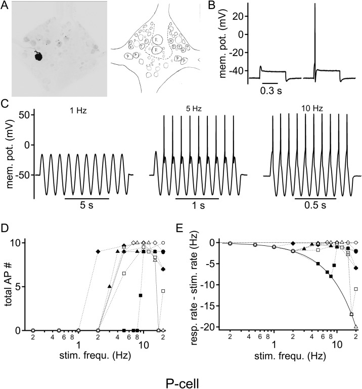 Fig. 2.