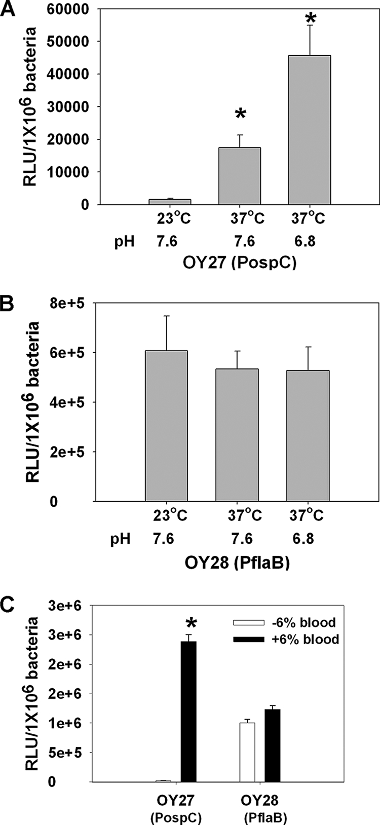 FIG. 6.