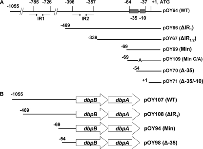 FIG. 2.