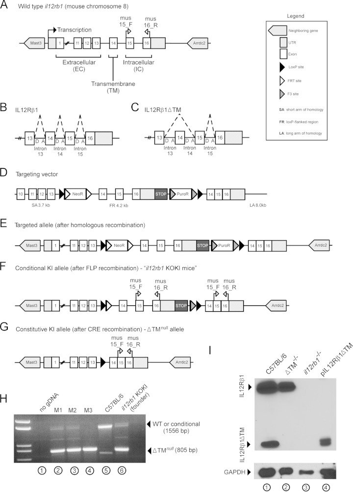 FIG 2