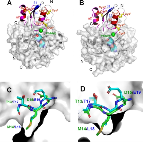 FIGURE 7.