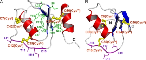 FIGURE 3.