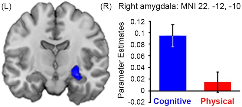 Fig 5