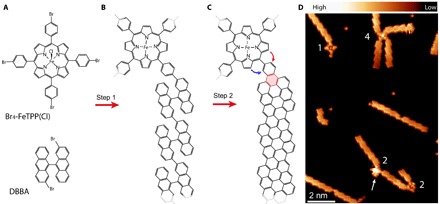 Fig. 1