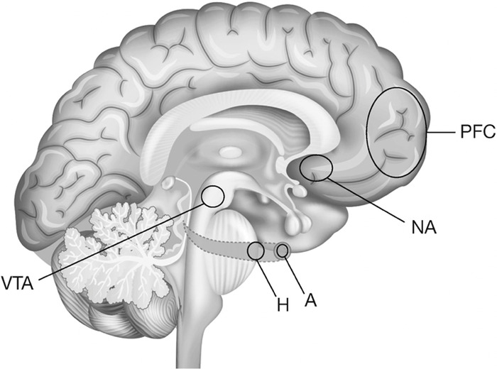 Figure 3.