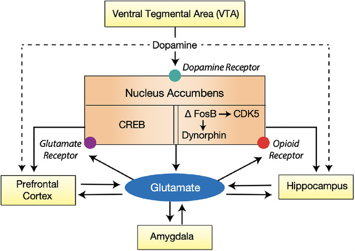 Figure 2.