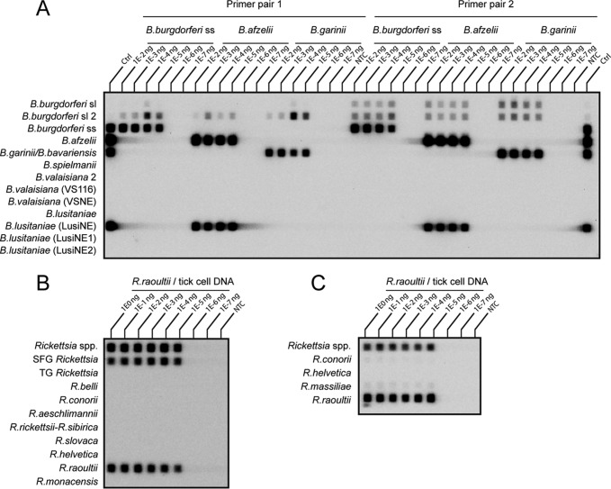 FIG 1