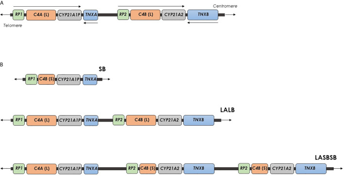 Figure 1