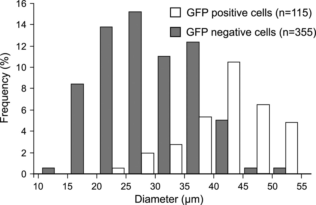 Fig. 11