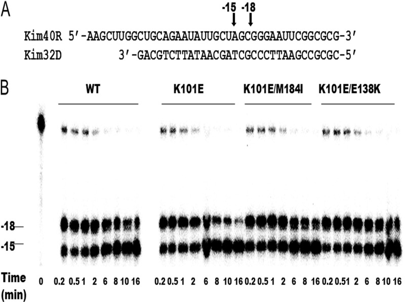 Fig 4