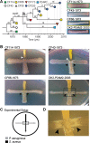 FIG 1