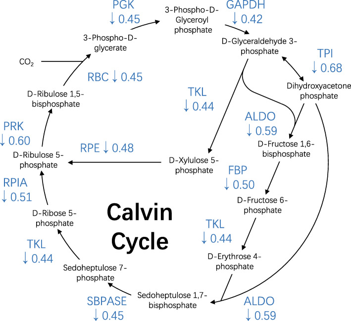 Fig. 4